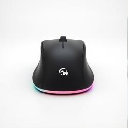 ErgoWave Wireless Mouse