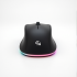 ErgoWave Wireless Mouse