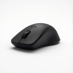 ErgoWave 2.4GHz Wireless Optical Mouse